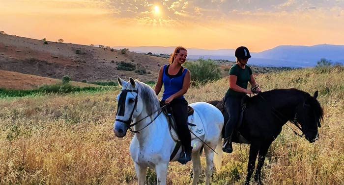 ¡Experiencia única! Disfruta de una increíble Ruta a Caballo de 1 hora en Finca Malpasillo