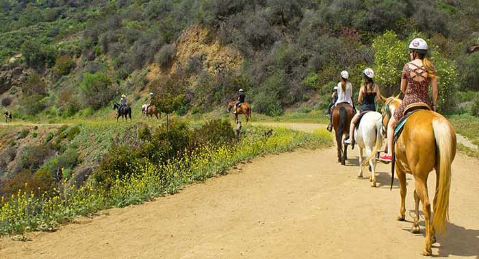 ¡Experiencia única! Disfruta de una increíble Ruta a Caballo de 1 hora en Finca Malpasillo