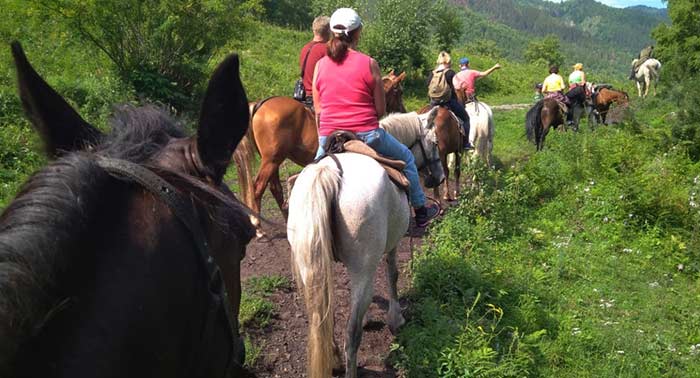 ¡Experiencia única! Disfruta de una increíble Ruta a Caballo de 1 hora en Finca Malpasillo