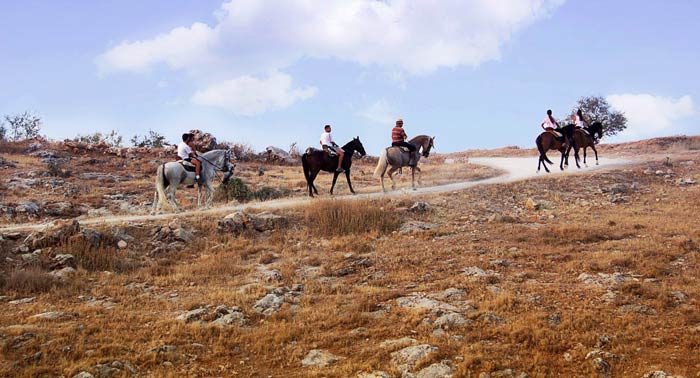 Una magnífica escapada para 2: 1 o 2 Noches en Colomera, con Desayuno y Paseo a caballo