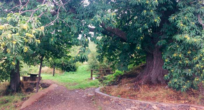 Retiro Holístico: 3 noches con Pensión completa, Yoga, Gran tirolina, Baños del Bosque...