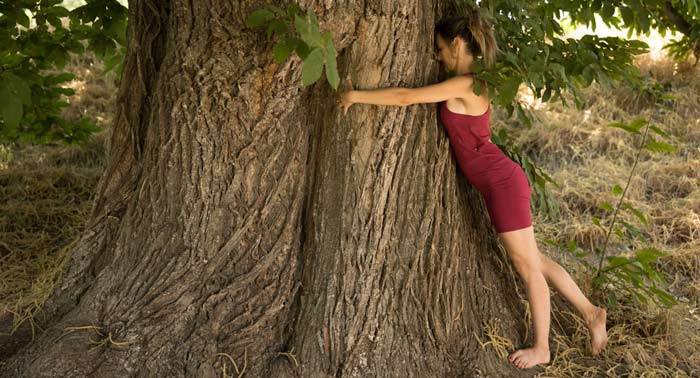 Retiro Holístico: 3 noches con Pensión completa, Yoga, Gran tirolina, Baños del Bosque...