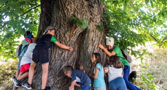 BNatural Campamento de Verano en Alta Alpujarra: Actividades, Pensión Completa, Piscina...