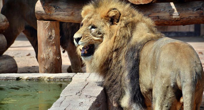 ¡Escapada en Familia! Alojamiento + Terra Natura + Jacuzzi privado + Cava + Desayuno