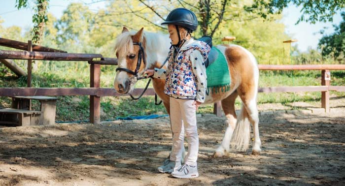 ¡Regala una Experiencia inolvidable! Paseo en Pony para niños o 4 Clases de Equitación