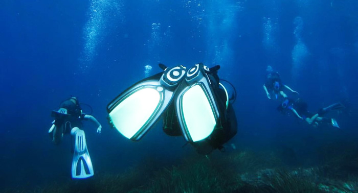 Descubre los secretos marinos de Cabo de Gata: Curso Buceo privado OPEN WATER PSS 