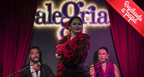 Vive la pasión por el flamenco: Entradas para el espectáculo de Alegría Flamenco