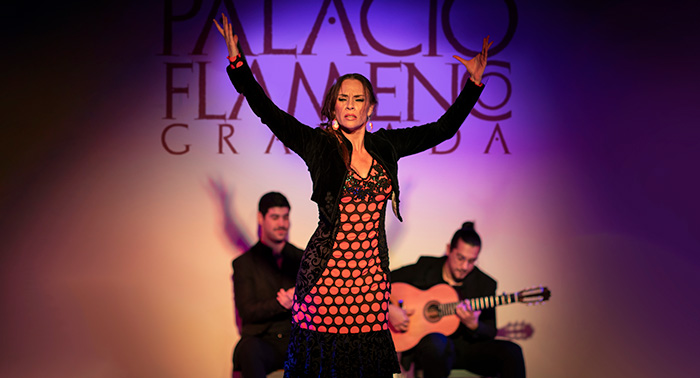 Espectáculo Flamenco para 2 personas en Palacio Flamenco Granada, a los pies de La Alhambra