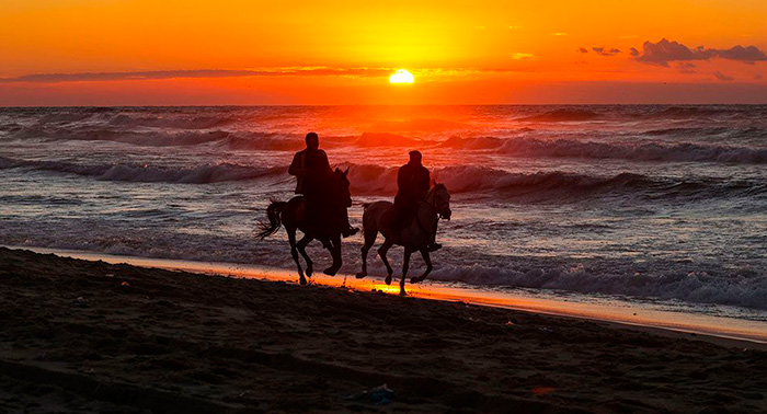 Ruta a caballo por la orilla del mar y el Paraje Natural en Almerimar: 1h de paz al atardecer