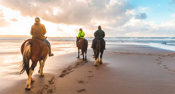 Ruta a caballo por la orilla del mar y el Paraje Natural en Almerimar: 1h de paz al atardecer