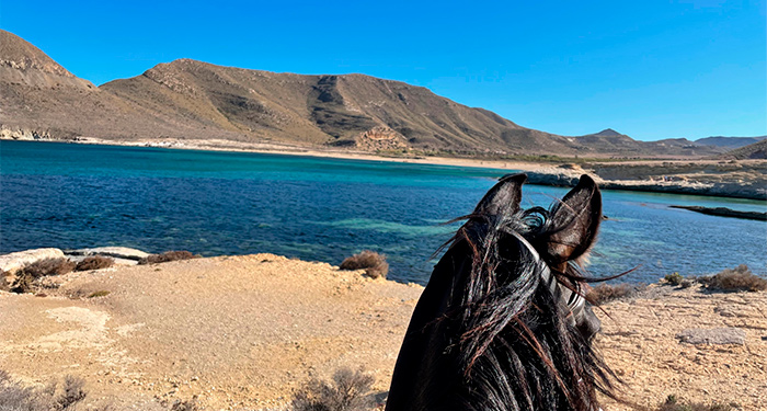 Ruta a caballo por el Playazo de Rodalquilar, 1.30h de paz en nuestro Parque Natural