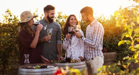 El regalo perfecto: Visita Guiada a Bodega con Cata y Aperitivos en Bodegas Perfer