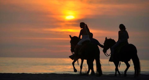 Ruta a caballo por la orilla del mar y el Paraje Natural en Almerimar: 1h de paz al atardecer