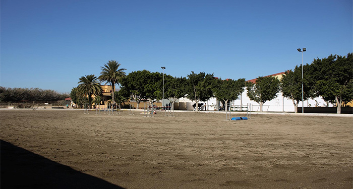 Regala una experiencia inolvidable de 2h: Visita a PonyClub + Cuidado de Ponis + Paseo en Poni