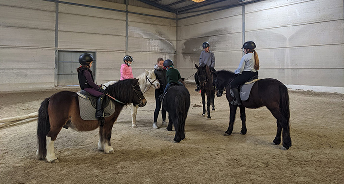 Regala una experiencia inolvidable de 2h: Visita a PonyClub + Cuidado de Ponis + Paseo en Poni