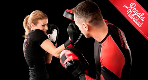 Academia MMA: aprende las habilidades fundamentales de diversas disciplinas de Artes Marciales