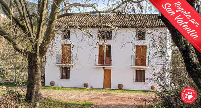 2 Noches en Casa Rural en el P.N. Cazorla, Segura y Las Villas + Botella Vino + 2 Actividades