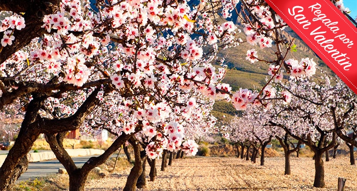 Ruta del Almendro en Flor por Sorbas + Menú Platos típicos de Almería