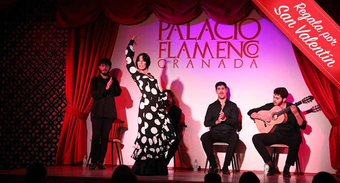 Siente la Magia del Flamenco: Entrada para Espectáculo en Palacio Flamenco Granada