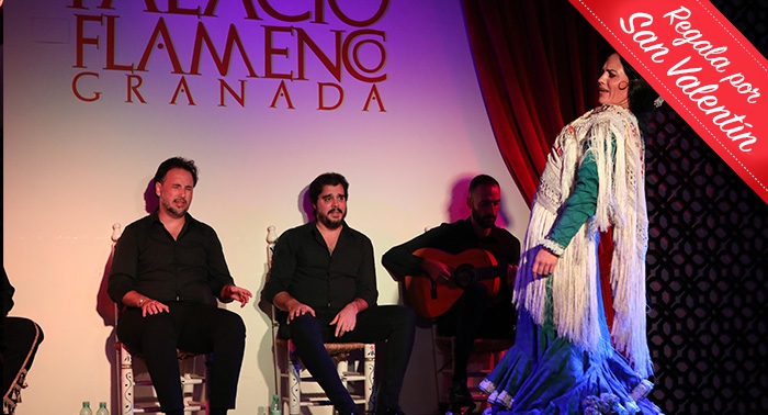 Siente la Magia del Flamenco: Entrada para Espectáculo en Palacio Flamenco Granada