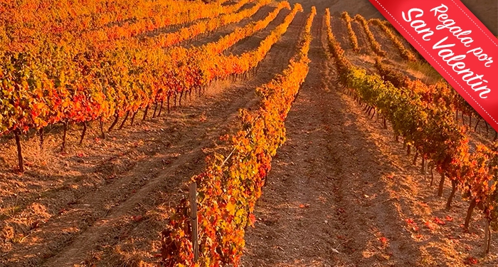 Visita Guiada a Bodega Piedras Blancas + Cata de Vinos + Botella de Vino 