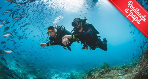Descubre los secretos marinos de Cabo de Gata: Curso Buceo privado OPEN WATER PSS 