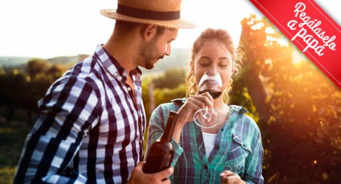 Visita Guiada a Bodega Piedras Blancas + Cata de Vinos + Botella de Vino 