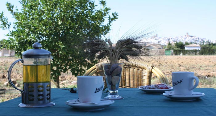 ¡Enamórate de Arcos de la Frontera! 2 Noches + Desayuno + Detalle en Hostal Rural La Plata