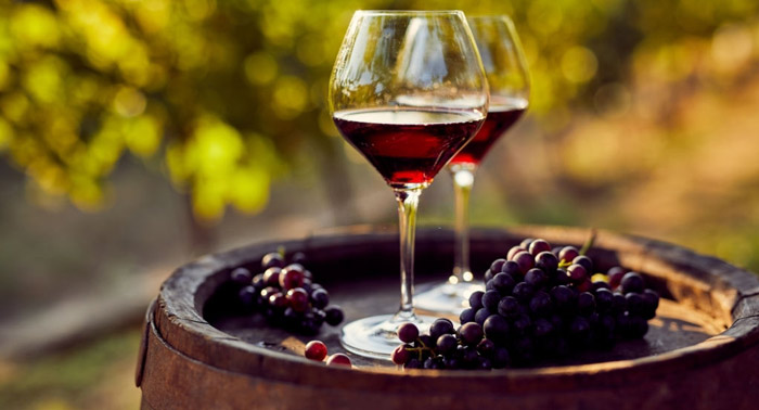 Enoturismo con Visita, Cata de 3 Vinos y Degustación Gastronómica Bodega Condado Ojancos