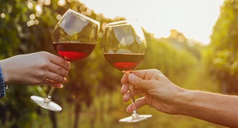 Enoturismo con Visita, Cata de 3 Vinos y Degustación Gastronómica Bodega Condado Ojancos