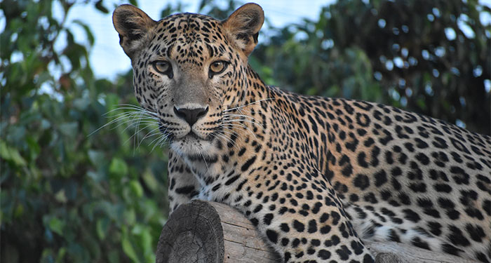 ¡Disfruta en familia de un magnífico plan! Entradas para Terra Natura + Aqua Natura en Murcia