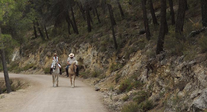 ¡Regala una experiencia inolvidable! Ruta a Caballo por la última frontera Nazarí. 2h para 2