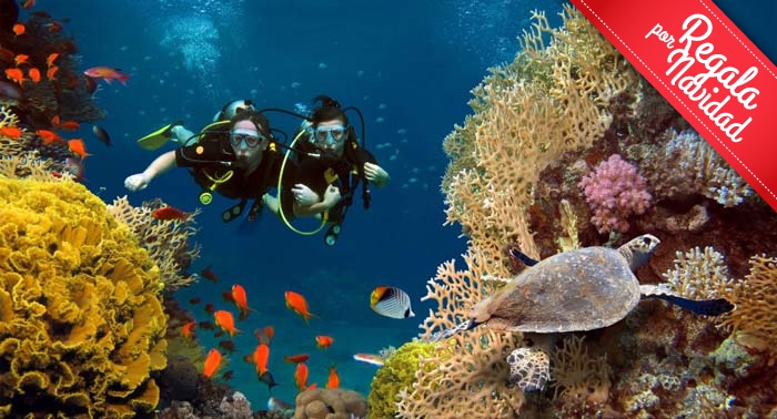 Regala Aventura: Bautismo de Buceo PRIVADO en el Parque Natural de Cabo de Gata