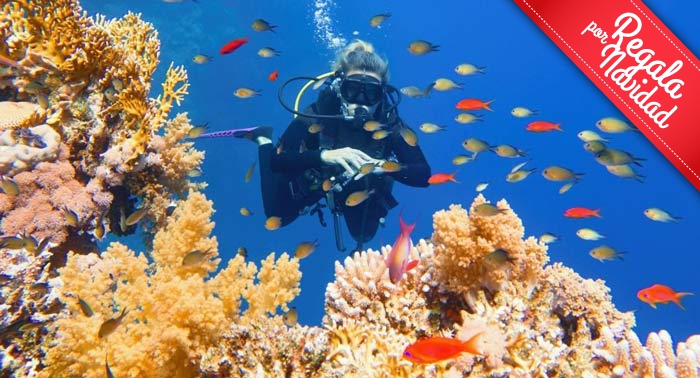 Regala Aventura: Bautismo de Buceo PRIVADO en el Parque Natural de Cabo de Gata