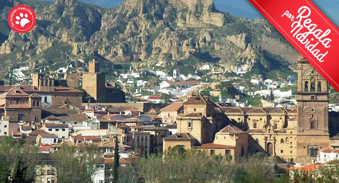 ¡Enamórate de Guadix! 1 Noche + Almuerzo o Cena en Hotel Mulhacén