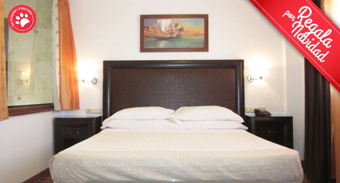 ¡Enamórate de Guadix! 1 Noche + Almuerzo o Cena en Hotel Mulhacén