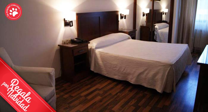 ¡Enamórate de Guadix! 1 Noche + Almuerzo o Cena en Hotel Mulhacén