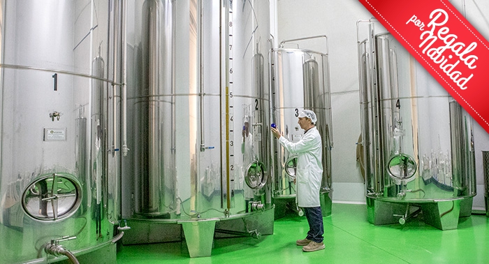 Ruta Oleo Almanzora y GEODA PULPÍ + Degustación AOVE + Sala Negra y Castillo