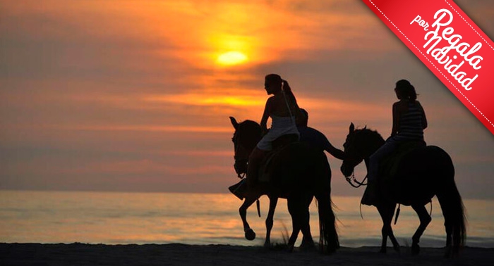 Ruta a caballo por la orilla del mar y el Paraje Natural en Almerimar: 1h de paz al atardecer