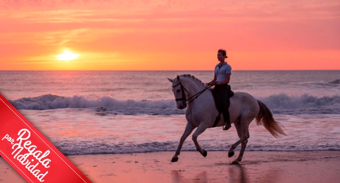 Ruta a caballo por la orilla del mar y el Paraje Natural en Almerimar: 1h de paz al atardecer