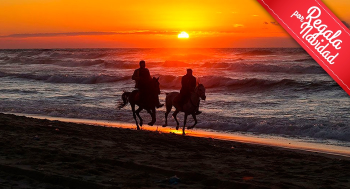 Ruta a caballo por la orilla del mar y el Paraje Natural en Almerimar: 1h de paz al atardecer