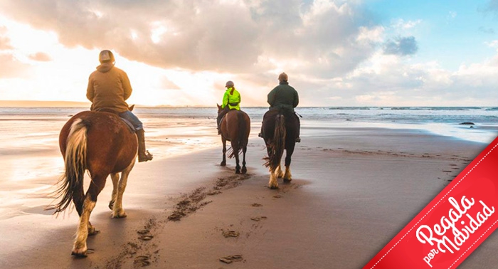 Ruta a caballo por la orilla del mar y el Paraje Natural en Almerimar: 1h de paz al atardecer