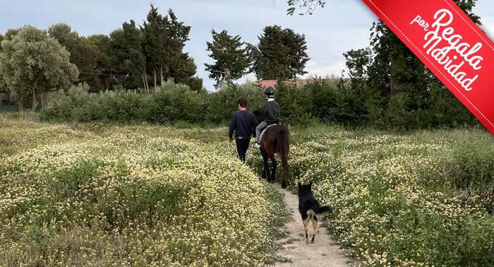 ¡Regala una Experiencia inolvidable! Paseo en Pony en Ponyclub Almería 