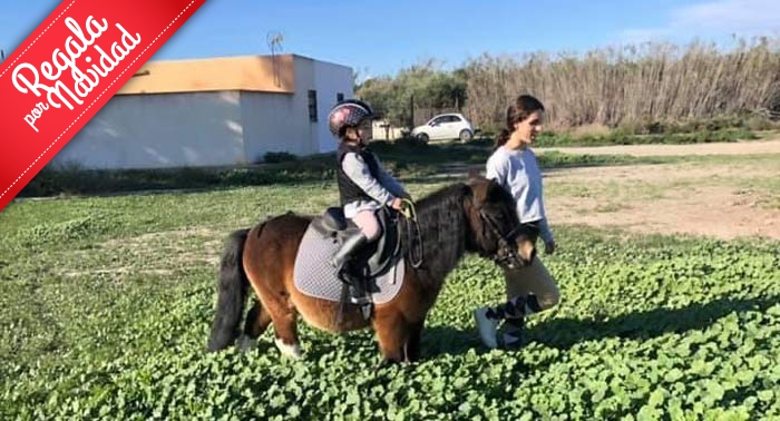 ¡Regala una Experiencia inolvidable! Paseo en Pony en Ponyclub Almería 