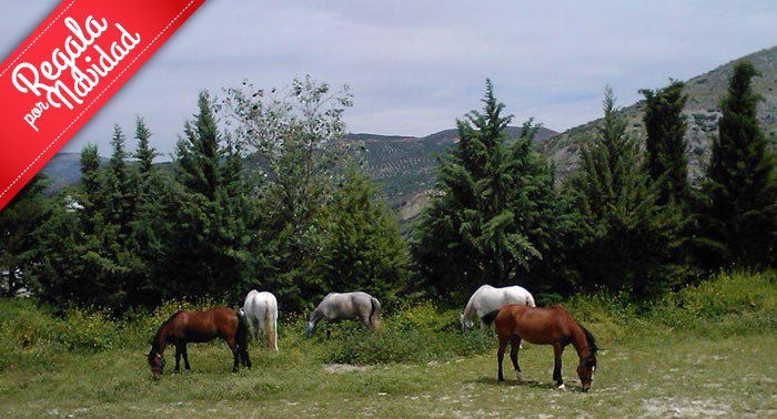 ¡Regala una experiencia inolvidable! Ruta a Caballo por la última frontera Nazarí. 2h para 2