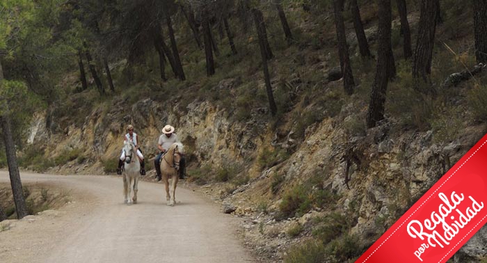 ¡Regala una experiencia inolvidable! Ruta a Caballo por la última frontera Nazarí. 2h para 2