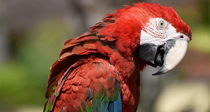 ¡Disfruta en familia de la belleza salvaje de la naturaleza! Entradas para Terra Natura Murcia