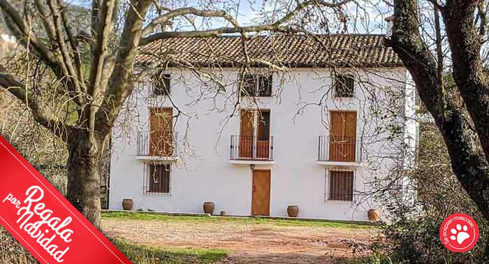 2 Noches en Casa Rural en el P.N. Cazorla, Segura y Las Villas + Botella Vino + 2 Actividades