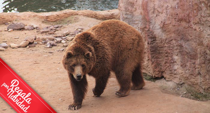 ¡Escapada en Familia! Alojamiento + Terra Natura + Jacuzzi privado + Cava + Desayuno