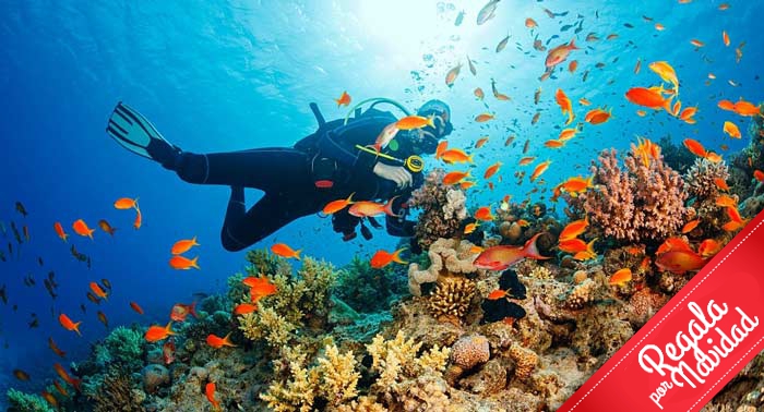 Descubre los secretos marinos de Cabo de Gata: Curso Buceo privado OPEN WATER PSS 